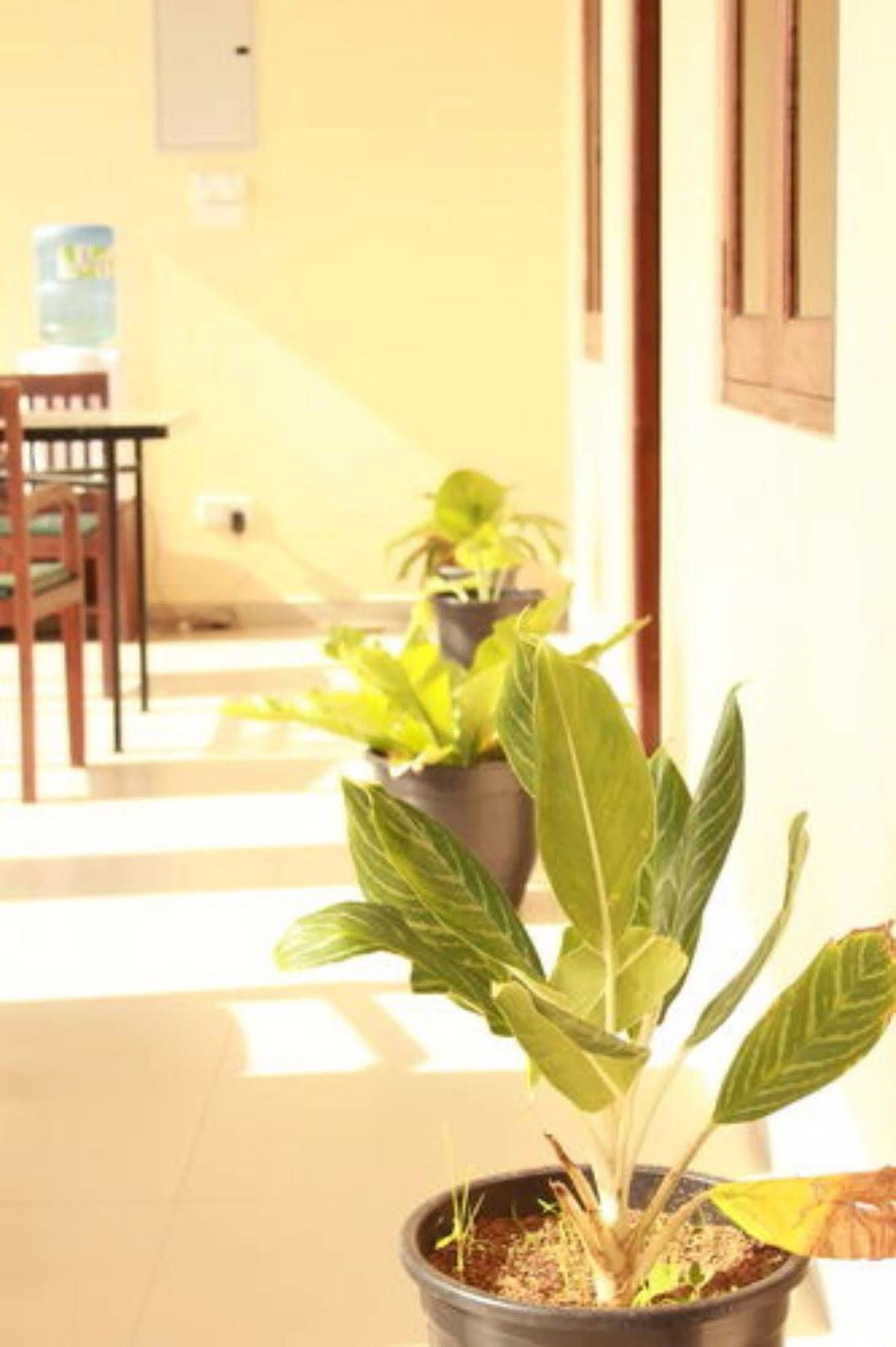 Pearl City Hotel Tissamaharama Luaran gambar